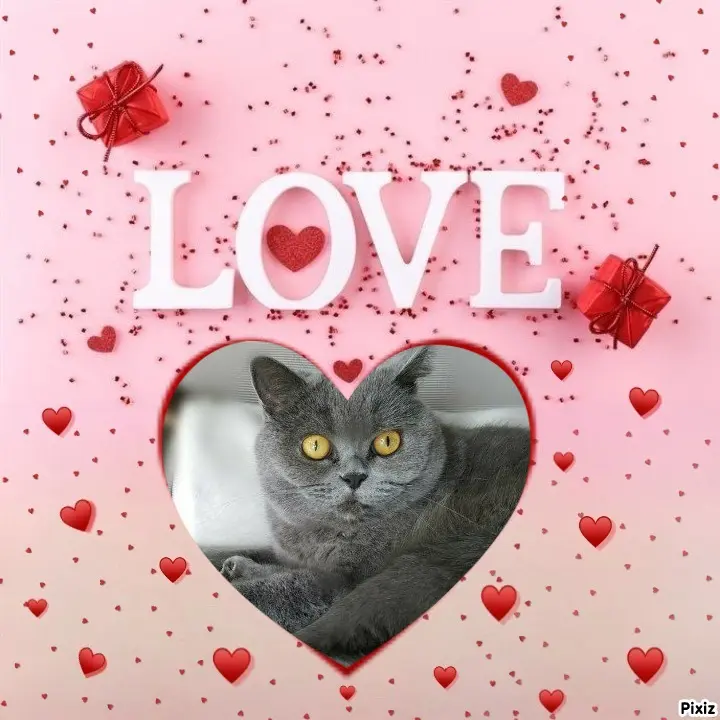 Andachtsbild von Tanja mit Timmy im Herzen 