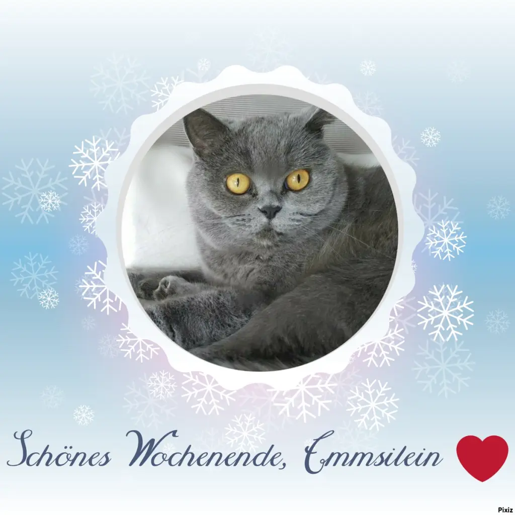 Andachtsbild von Tanja mit Timmy im Herzen 