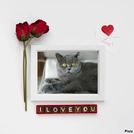 Andachtsbild von Tanja mit Timmy im Herzen 