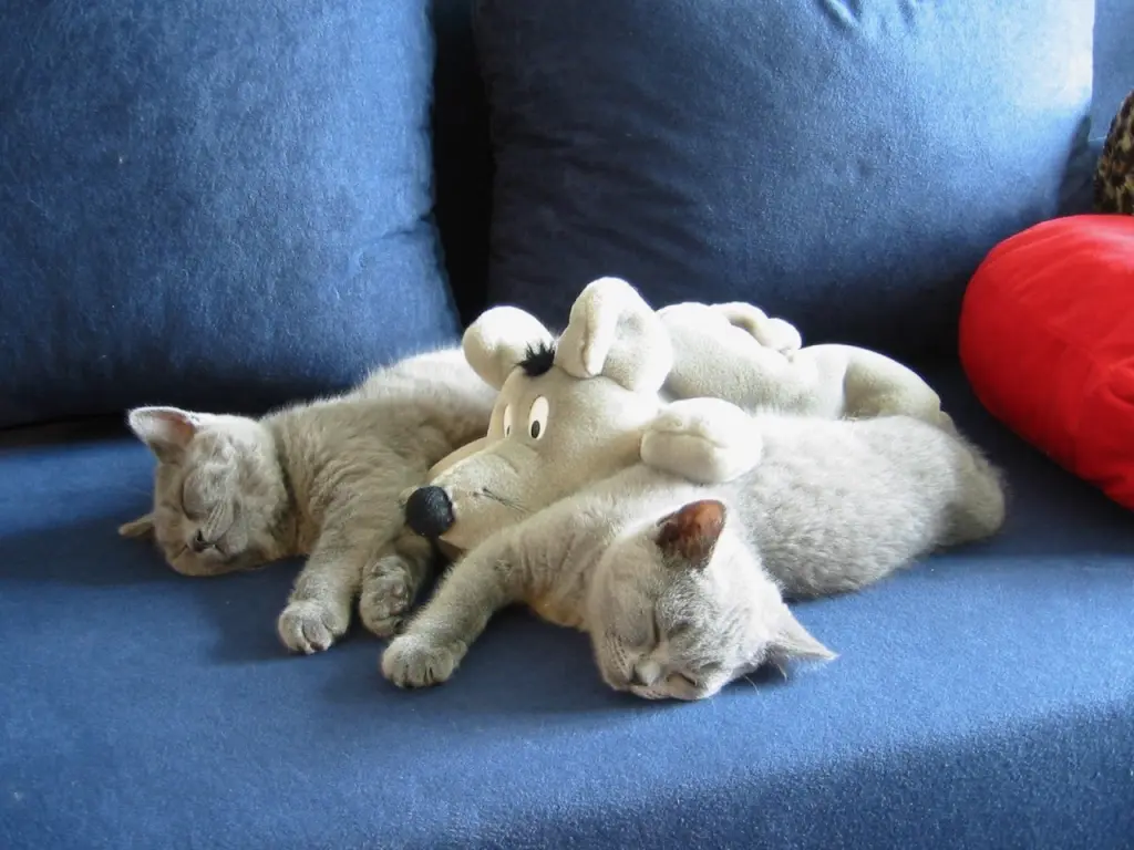 Andachtsbild von Es ist Zeit zu gehen...❤️