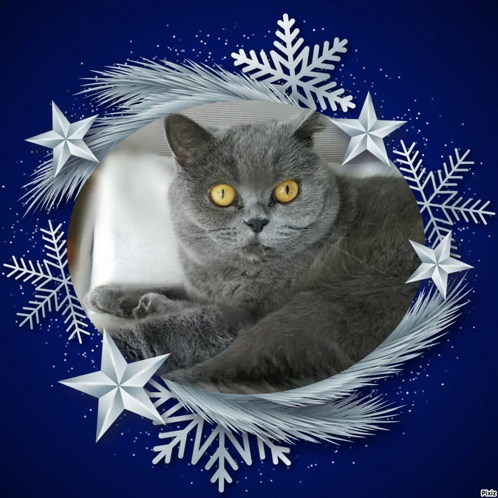 Andachtsbild von Tanja mit Timmy im Herzen 