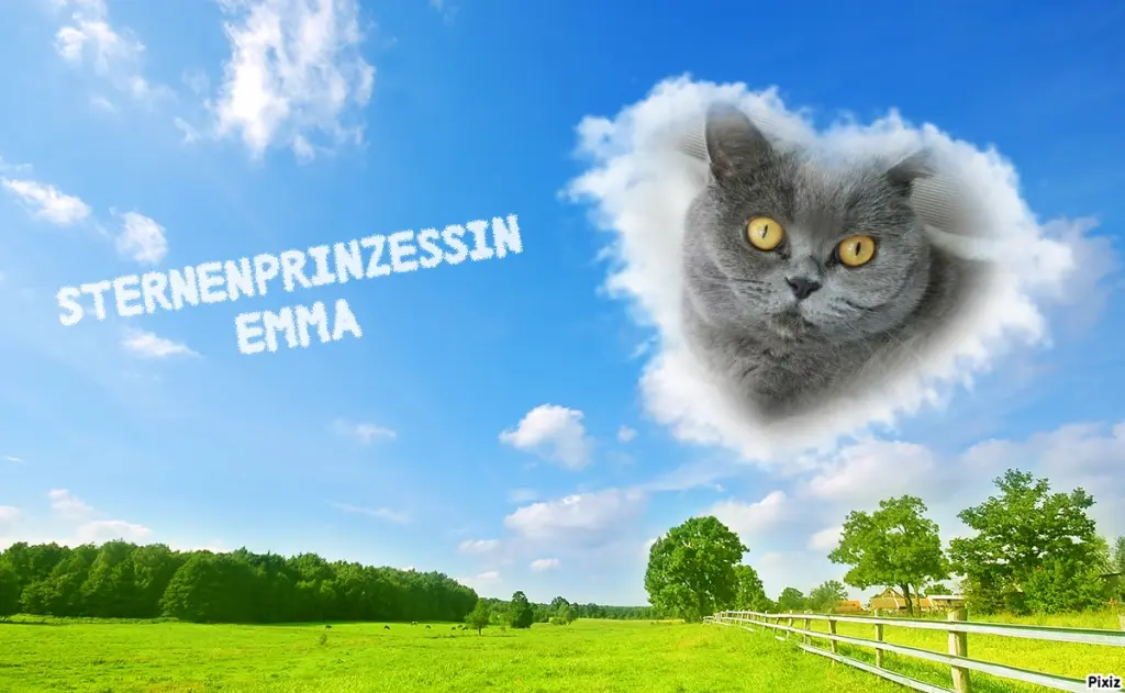 Andachtsbild von Tanja mit Timmy im Herzen 