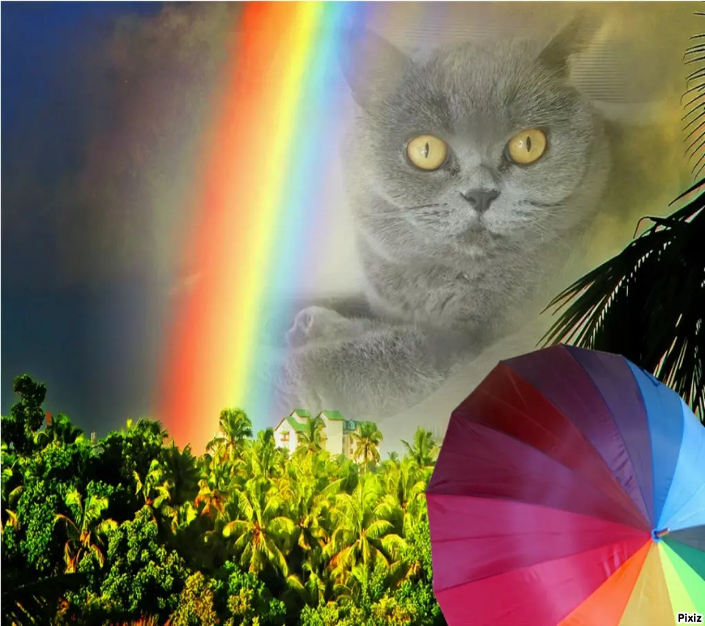 Andachtsbild von Tanja mit Timmy im Herzen 