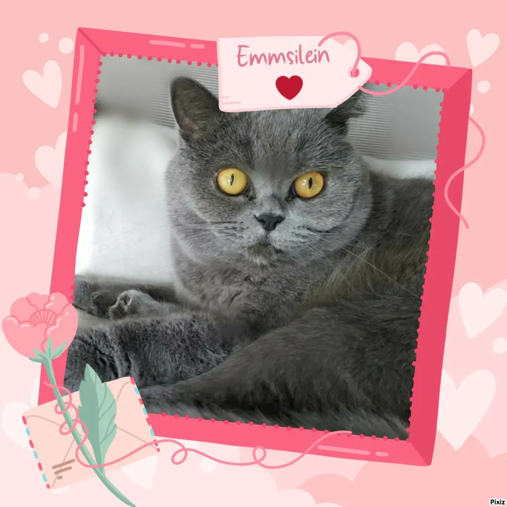 Andachtsbild von Tanja mit Timmy im Herzen 