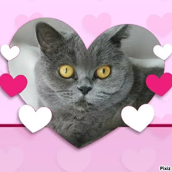 Andachtsbild von Tanja mit Timmy im Herzen 