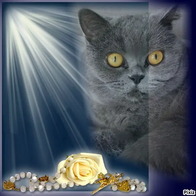 Andachtsbild von Tanja mit Timmy im Herzen 