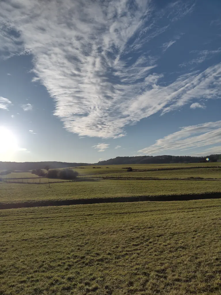 Andachtsbild von Corinna mit Emma, Pummelchen und anderen Sternlein im Herzen