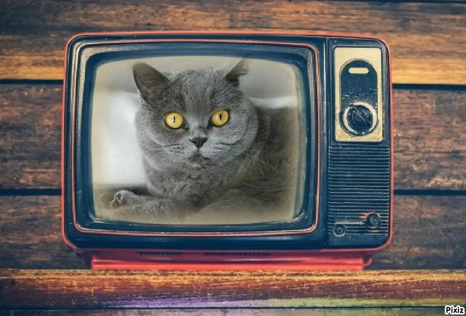 Andachtsbild von Tanja mit Timmy im Herzen 