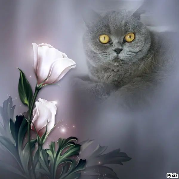 Andachtsbild von Tanja mit Timmy im Herzen 