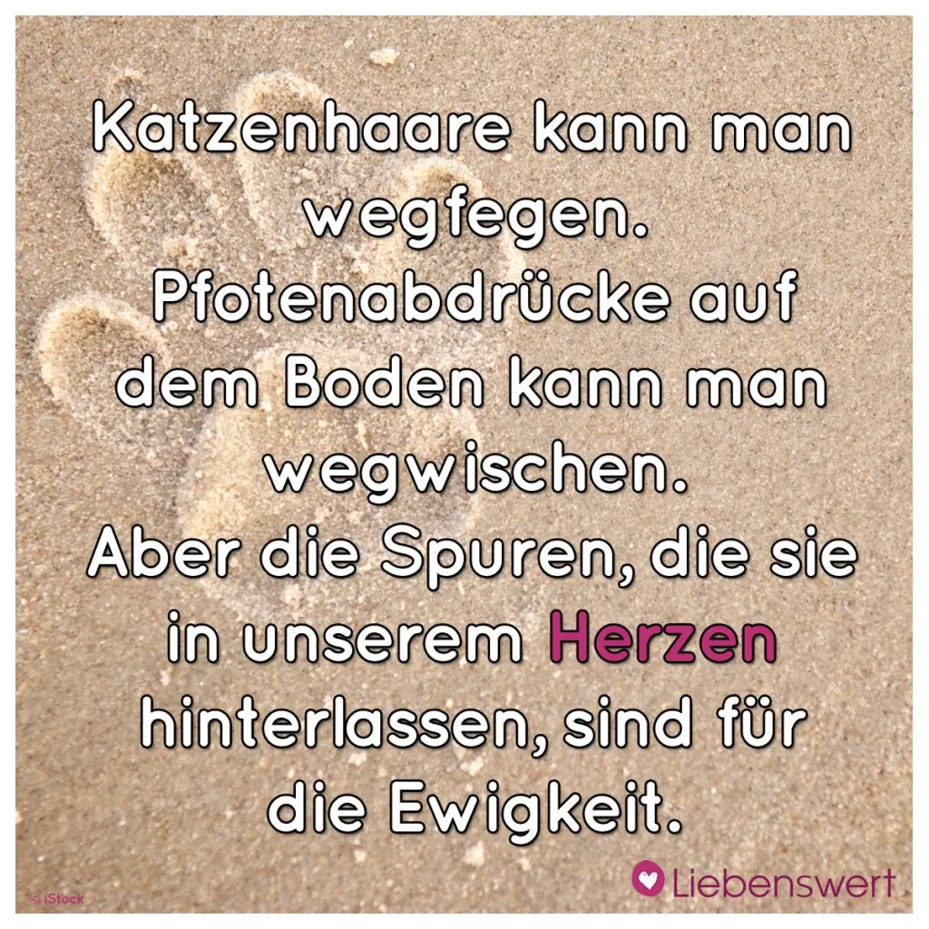 Andachtsbild von Für Emma und Sonja ❤️