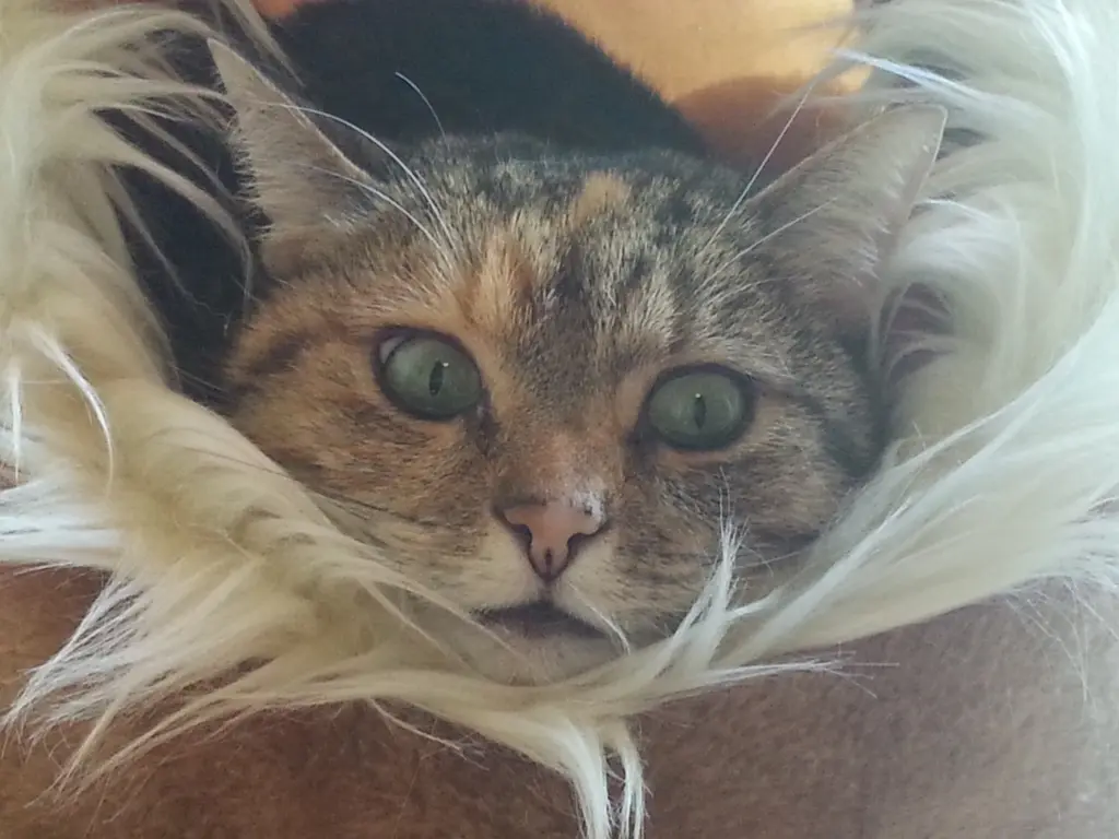 Andachtsbild von Daniela mit Pauline im ❤️