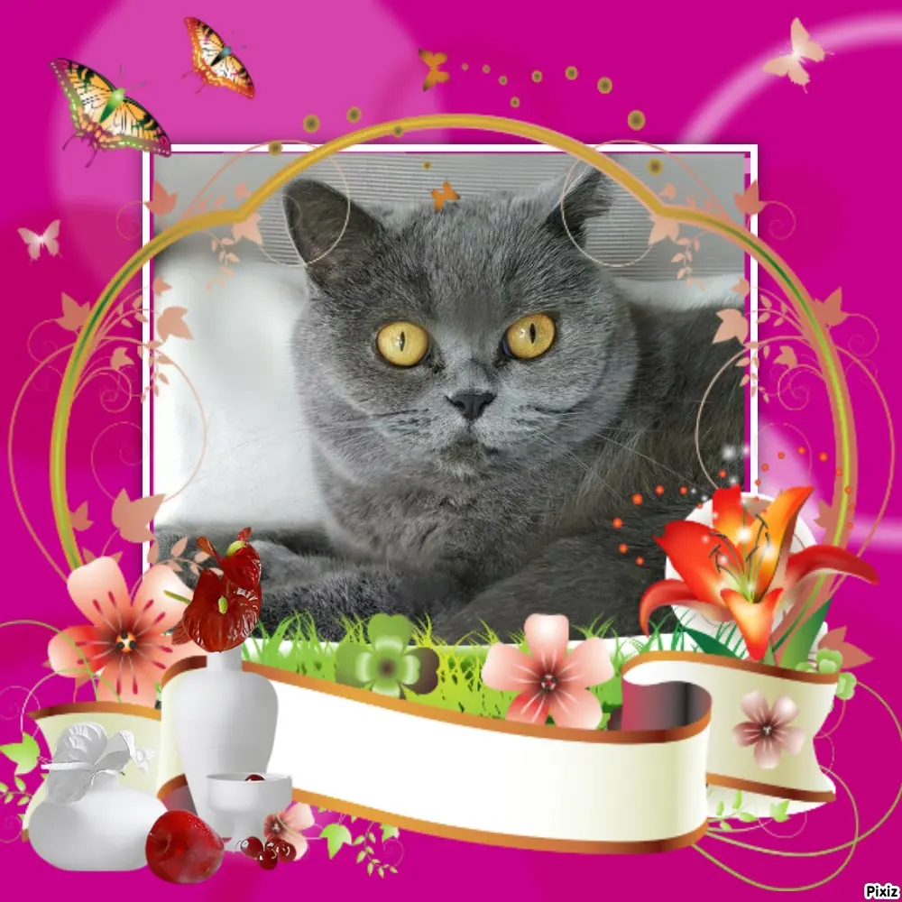 Andachtsbild von Tanja mit Timmy im Herzen 