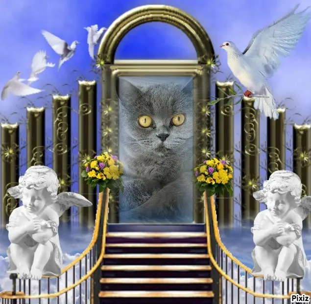 Andachtsbild von Tanja mit Timmy im Herzen 