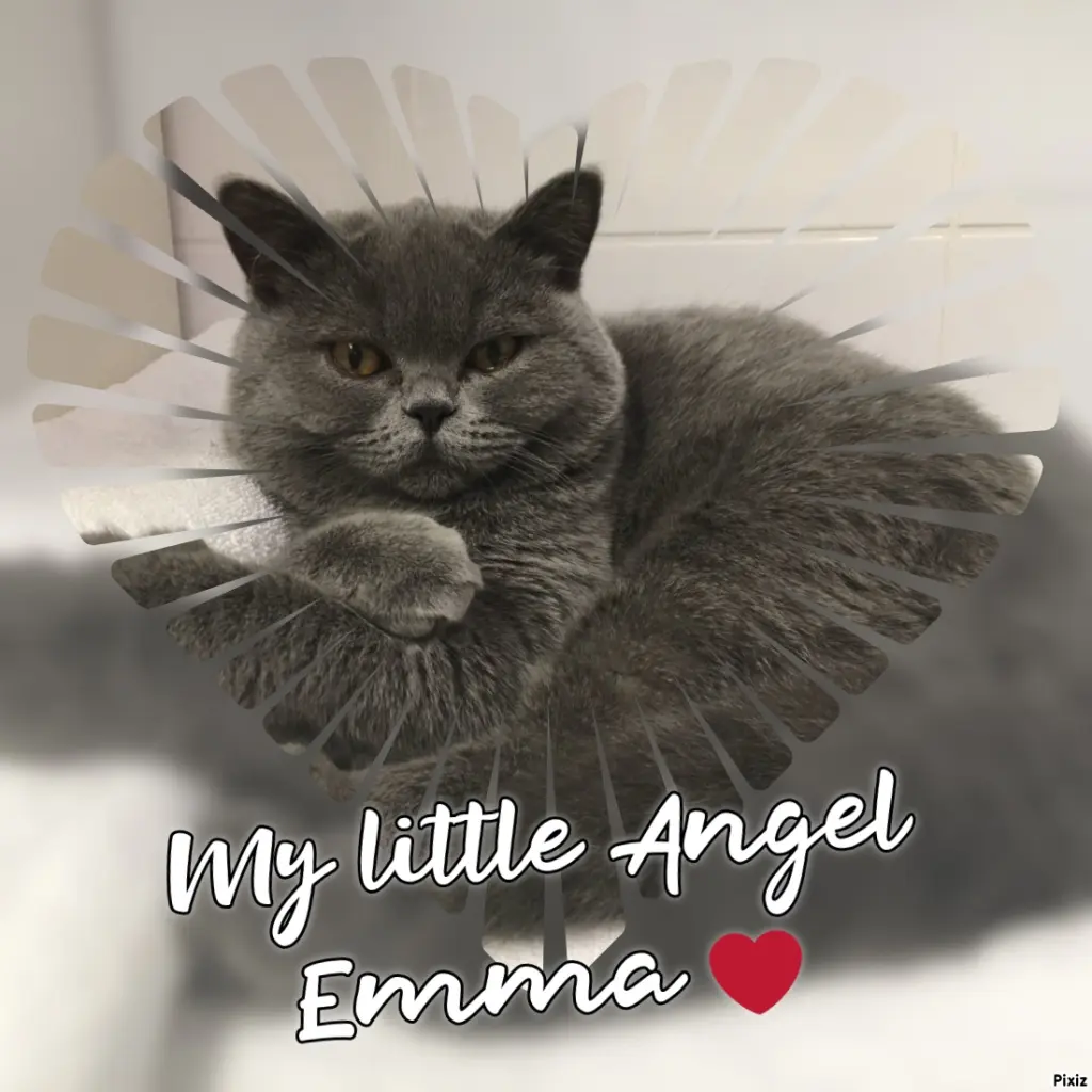 Andachtsbild von Für Emmchen ♥️