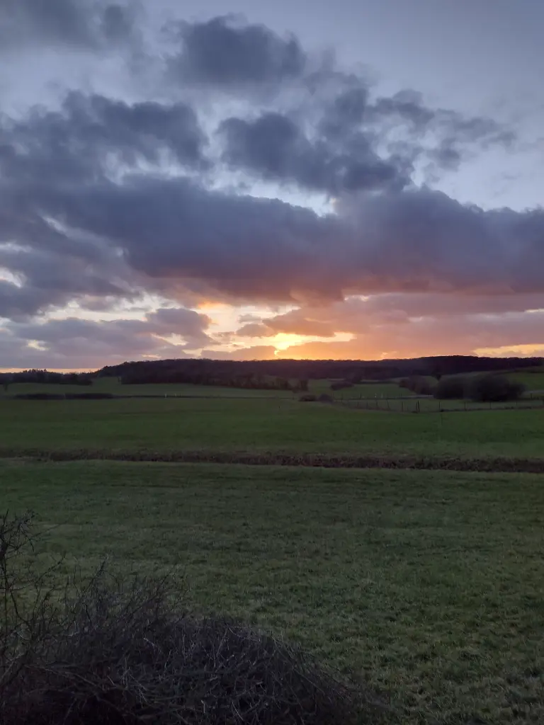 Andachtsbild von Corinna mit Emma, Pummelchen und anderen Sternleine im Herzen