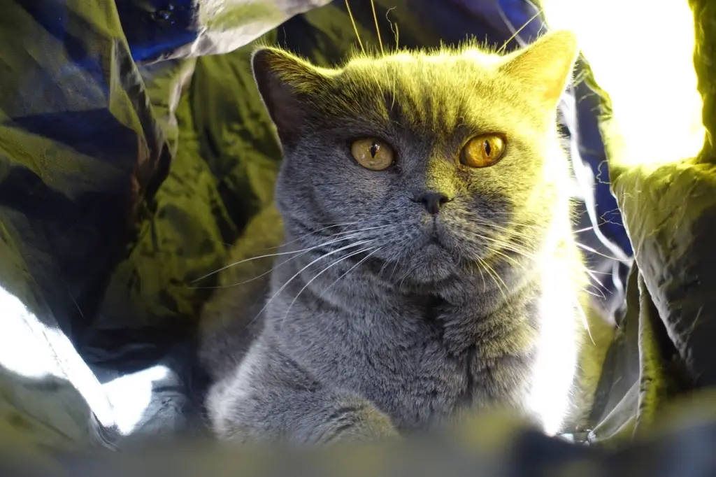 Andachtsbild von An Emma und Sonja ❤️