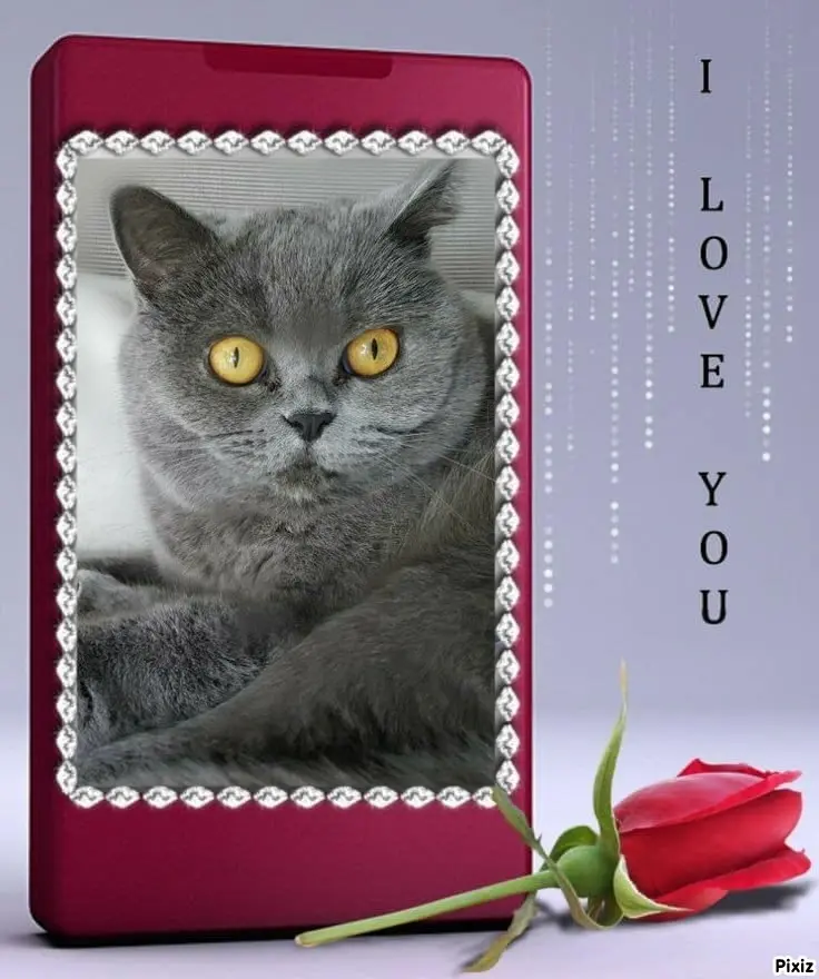 Andachtsbild von Tanja mit Timmy im Herzen