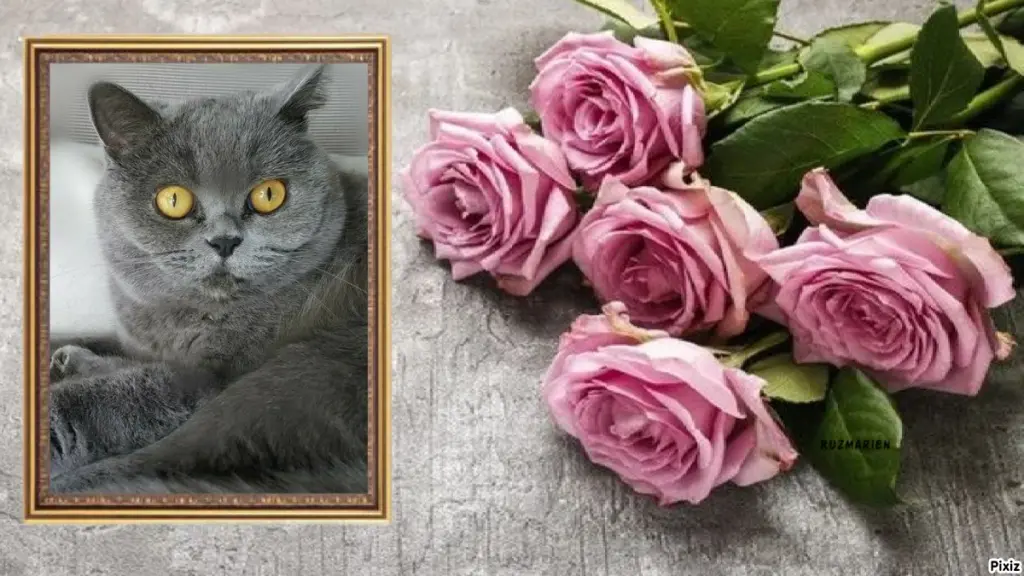 Andachtsbild von Tanja mit Timmy im Herzen 