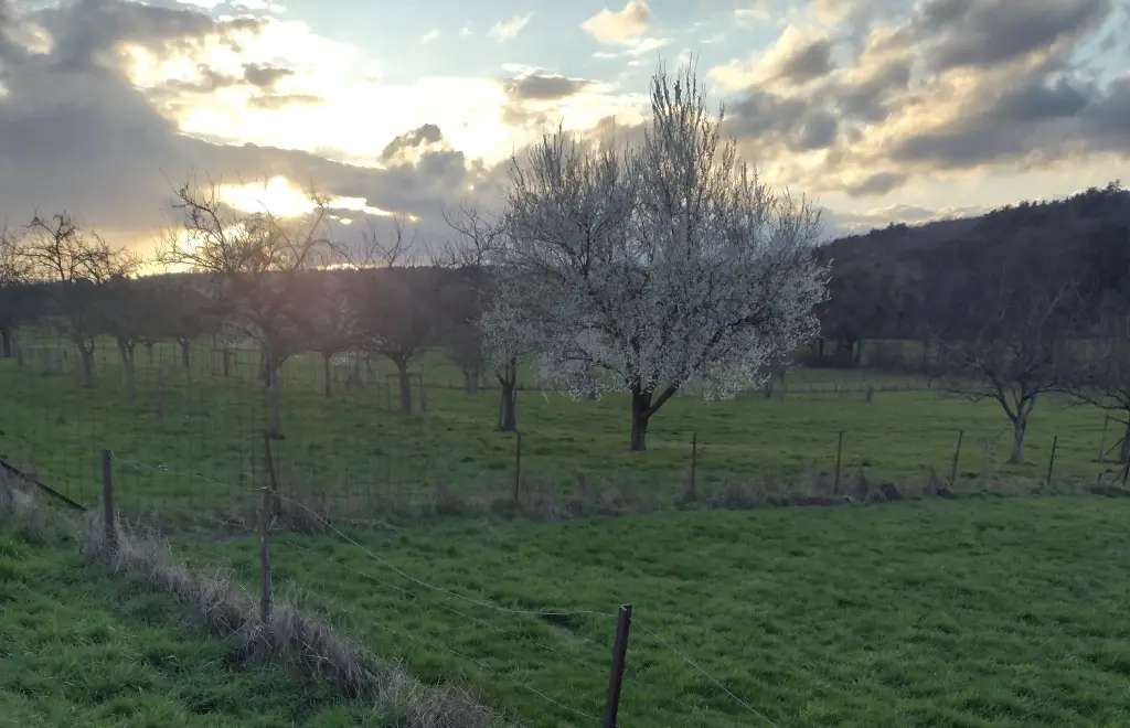 Andachtsbild von Corinna mit Emma, Pummelchen und anderen Sternlein im Herzen