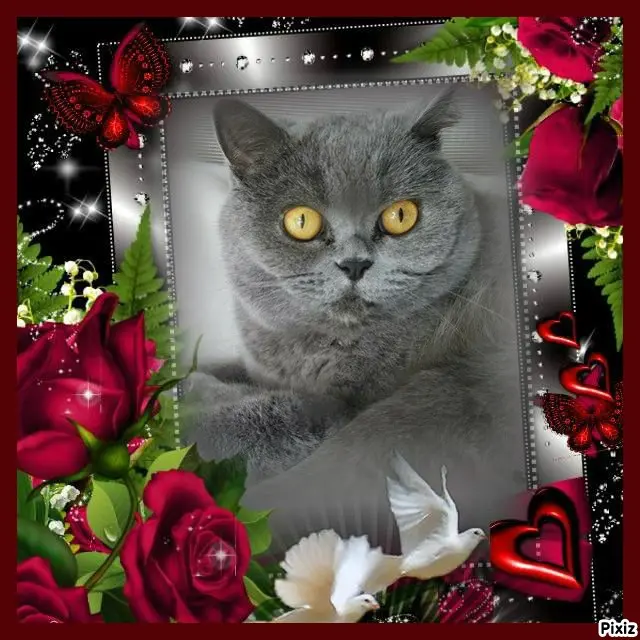 Andachtsbild von Tanja mit Timmy im Herzen