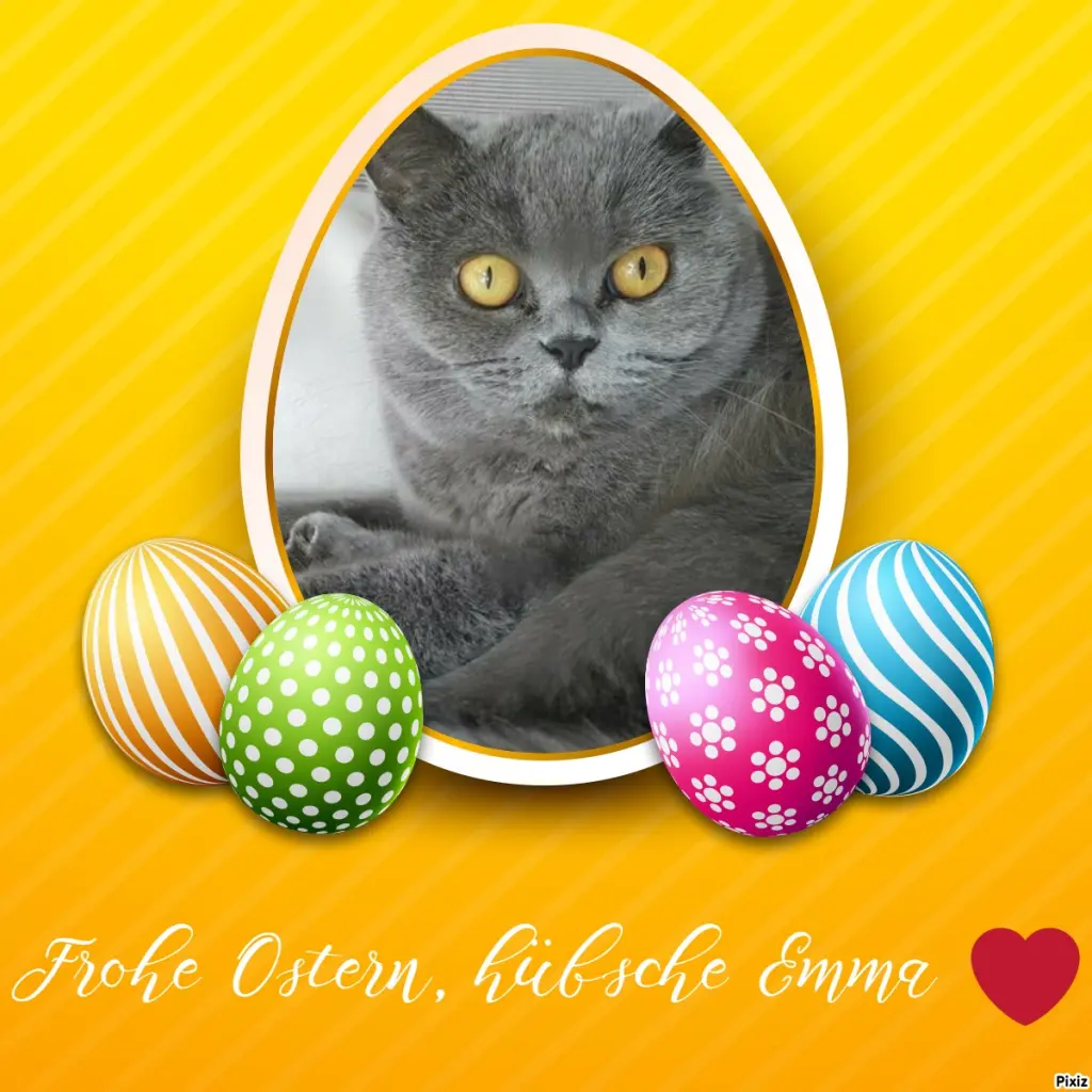 Andachtsbild von Tanja mit Timmy im Herzen 