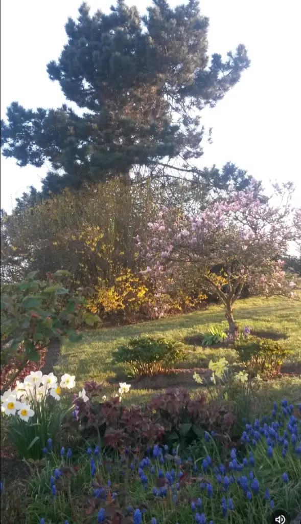 Andachtsbild von Corinna mit Emma, Pummelchen und anderen Sternlein im ❤️