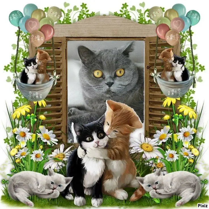 Andachtsbild von Tanja mit Timmy im Herzen 