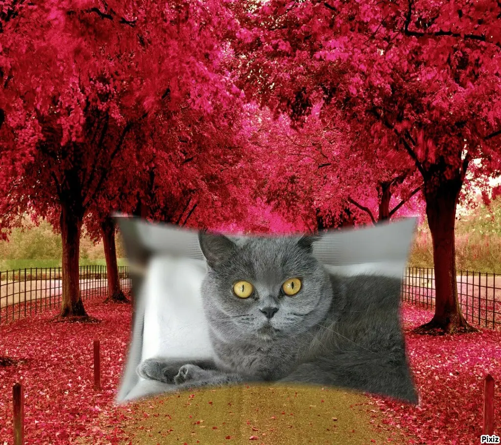 Andachtsbild von Tanja mit Timmy im Herzen 