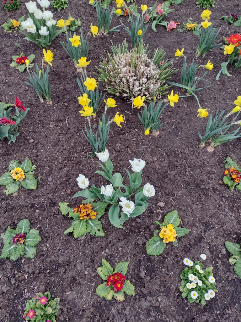 Andachtsbild von Corinna mit Emma, Pummelchen und anderen Sternlein im ❤️