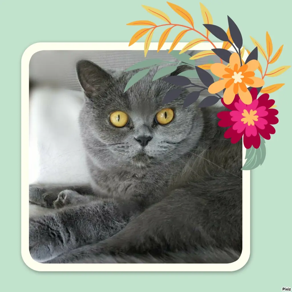 Andachtsbild von Tanja mit Timmy im Herzen 