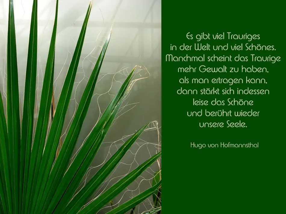 Andachtsbild von Für Emmchen und Sonja ❤️