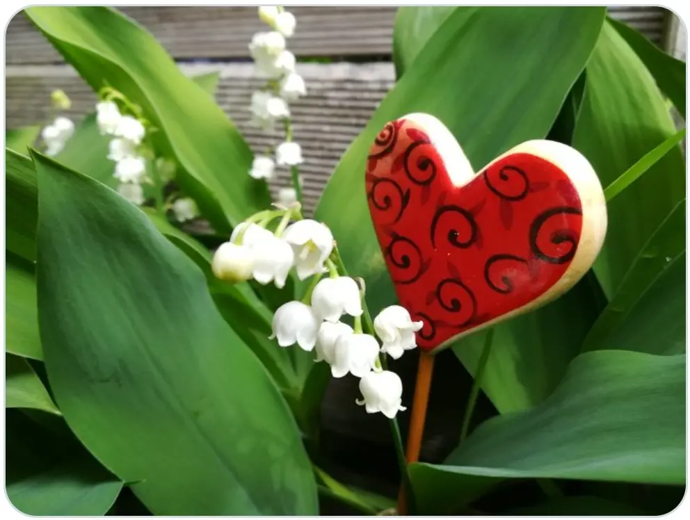 Andachtsbild von Daniela mit Pauline im ♥️