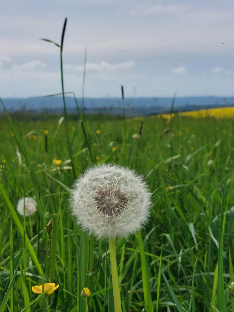 Andachtsbild von Daniela  mit Pauline im ♥️