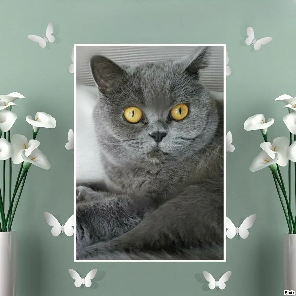 Andachtsbild von Tanja mit Timmy im Herzen 