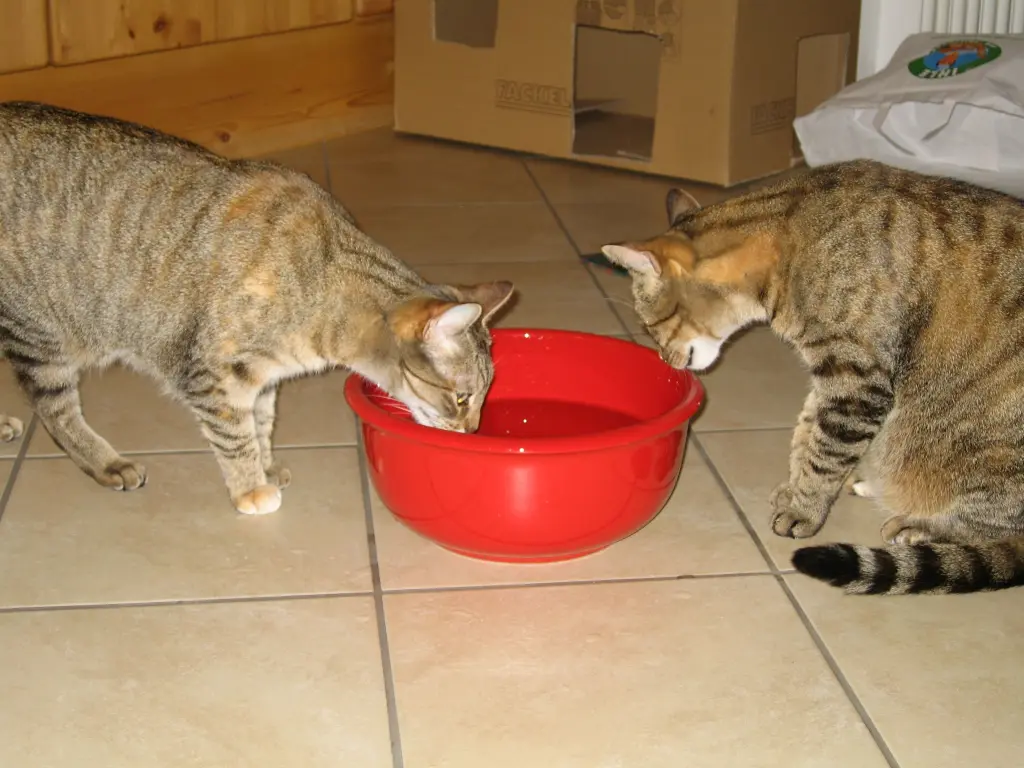 Andachtsbild von Post an Emma und Mama Sonja