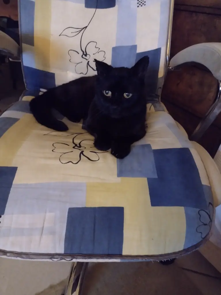 Andachtsbild von Corinna mit Emma, Pummelchen und anderen Sternlein im ❤️