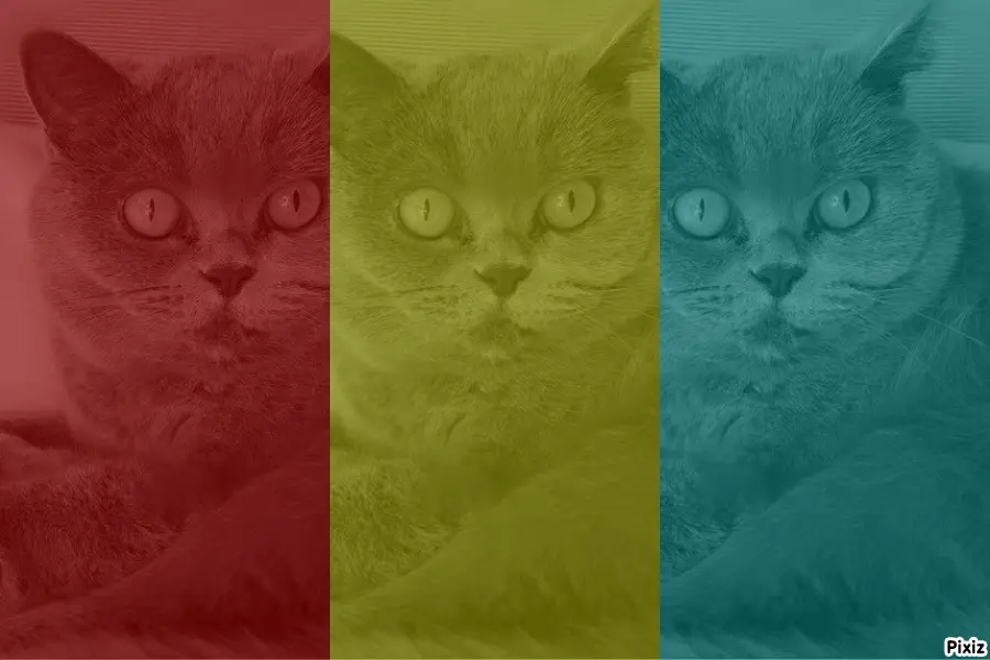 Andachtsbild von Tanja mit Timmy im Herzen