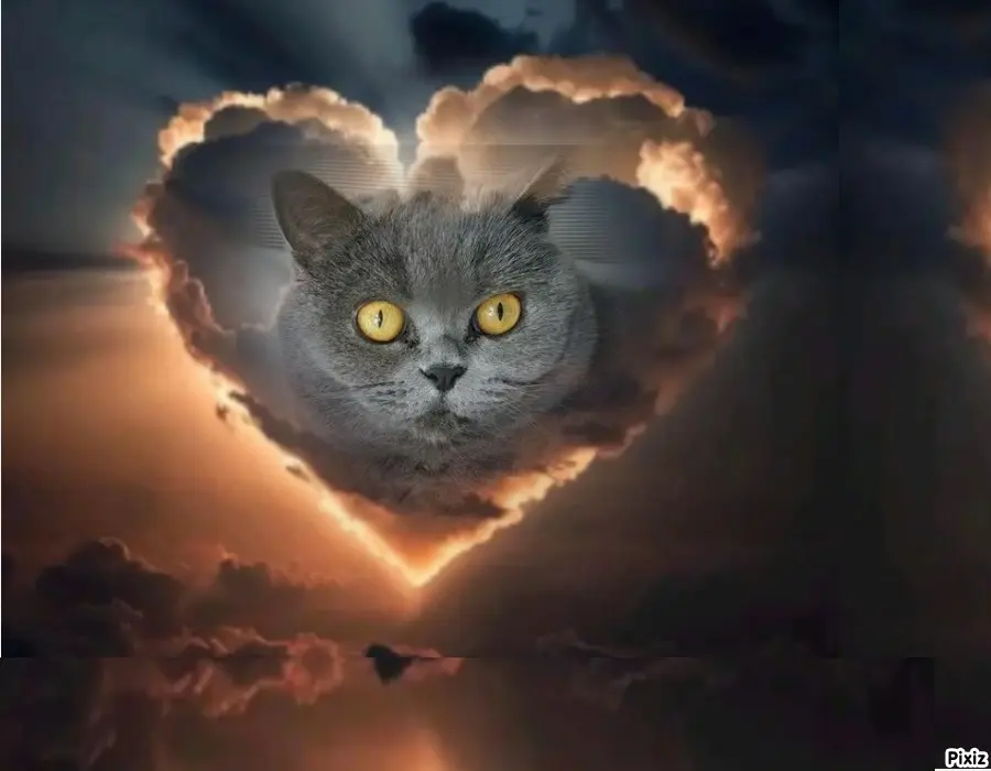 Andachtsbild von Tanja mit Timmy im Herzen 