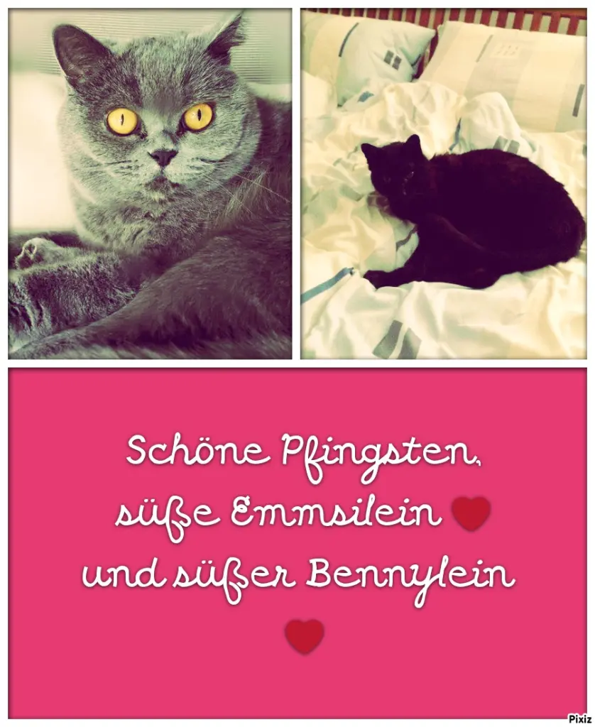 Andachtsbild von Tanja mit Timmy im Herzen 