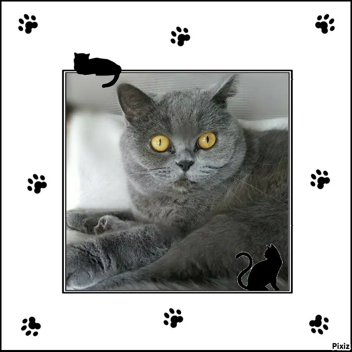 Andachtsbild von Tanja mit Timmy im Herzen 