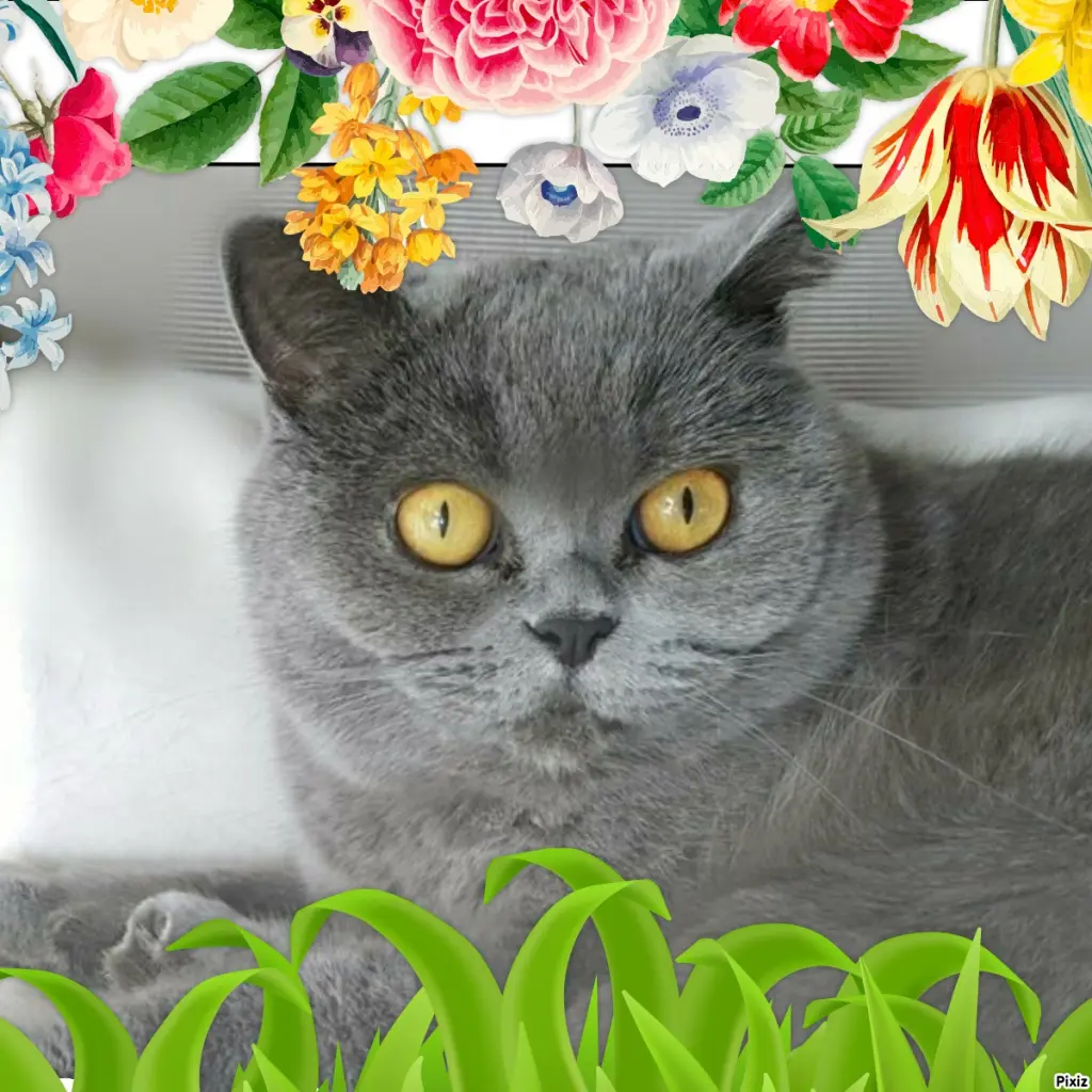 Andachtsbild von Tanja mit Timmy im Herzen