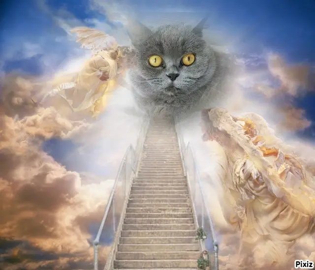 Andachtsbild von Tanja mit Timmy im Herzen 