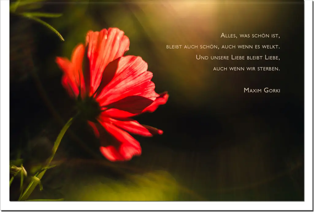 Andachtsbild von Für Emmilein ❤️