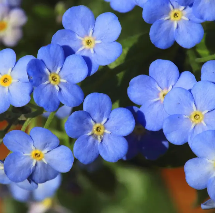 Andachtsbild von Corinna mit Emma, Pummelchen und anderen Sternlein im ❤️
