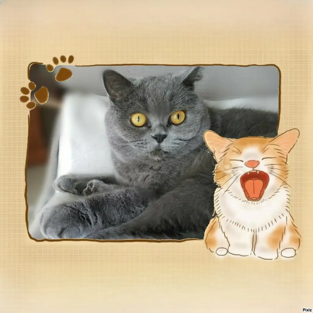 Andachtsbild von Tanja mit Timmy im Herzen