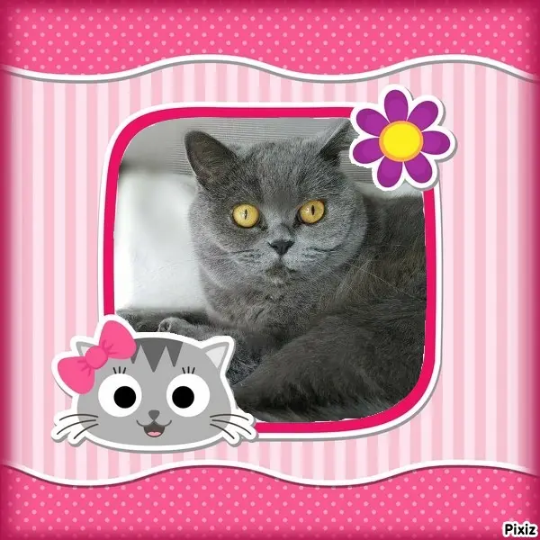 Andachtsbild von Tanja mit Timmy im Herzen 