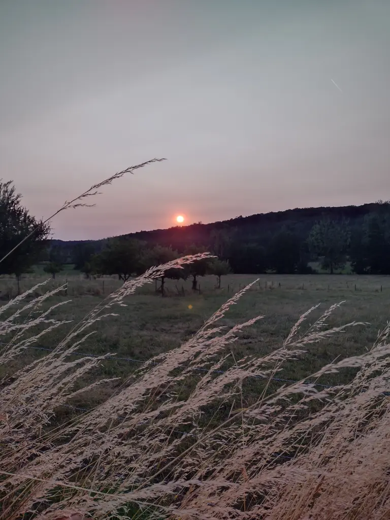 Andachtsbild von Corinna mit Emma, Pummelchen und anderen Sternlein im ❤️
