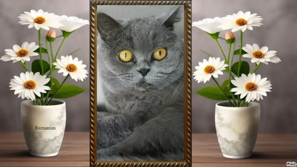 Andachtsbild von Tanja mit Timmy im Herzen