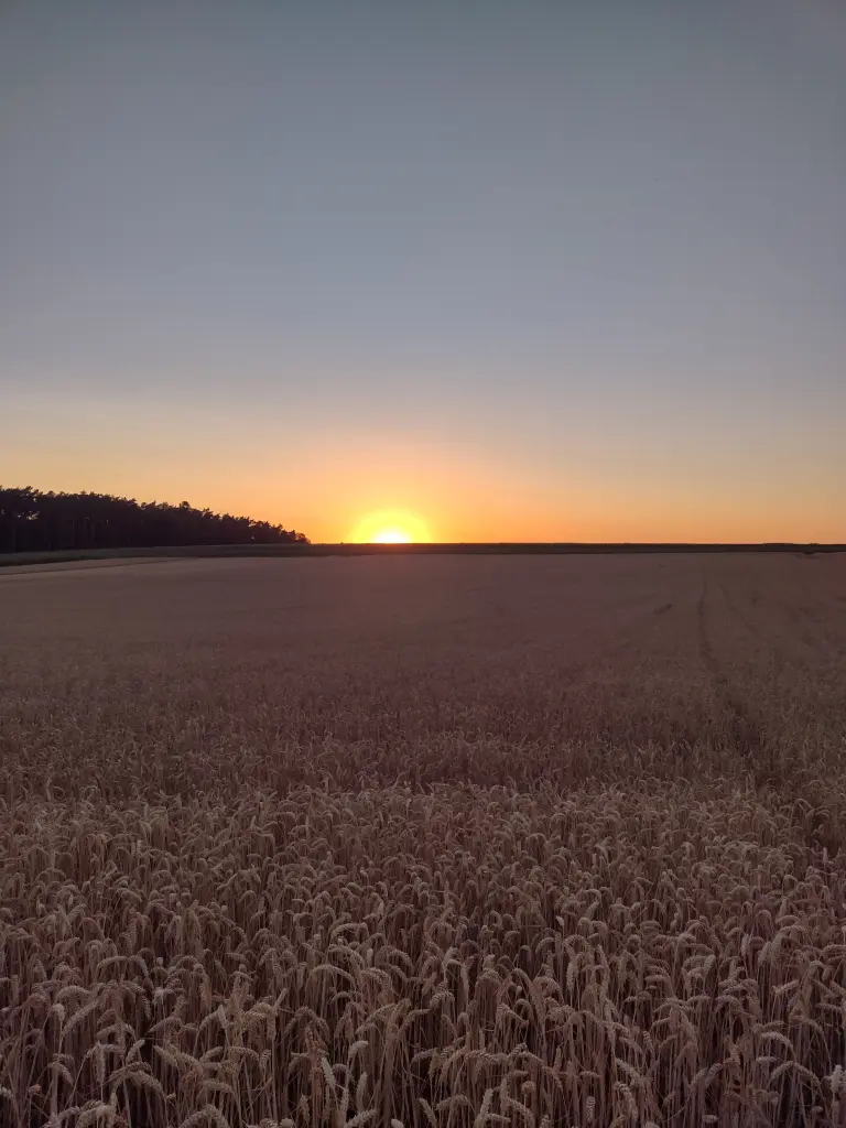 Andachtsbild von Corinna mit Emma, Pummelchen und anderen Sternlein im ❤️