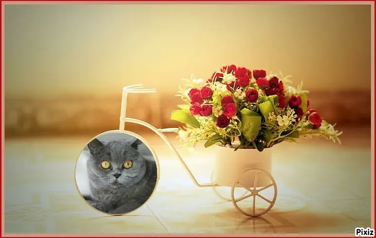 Andachtsbild von Tanja mit Timmy im Herzen 